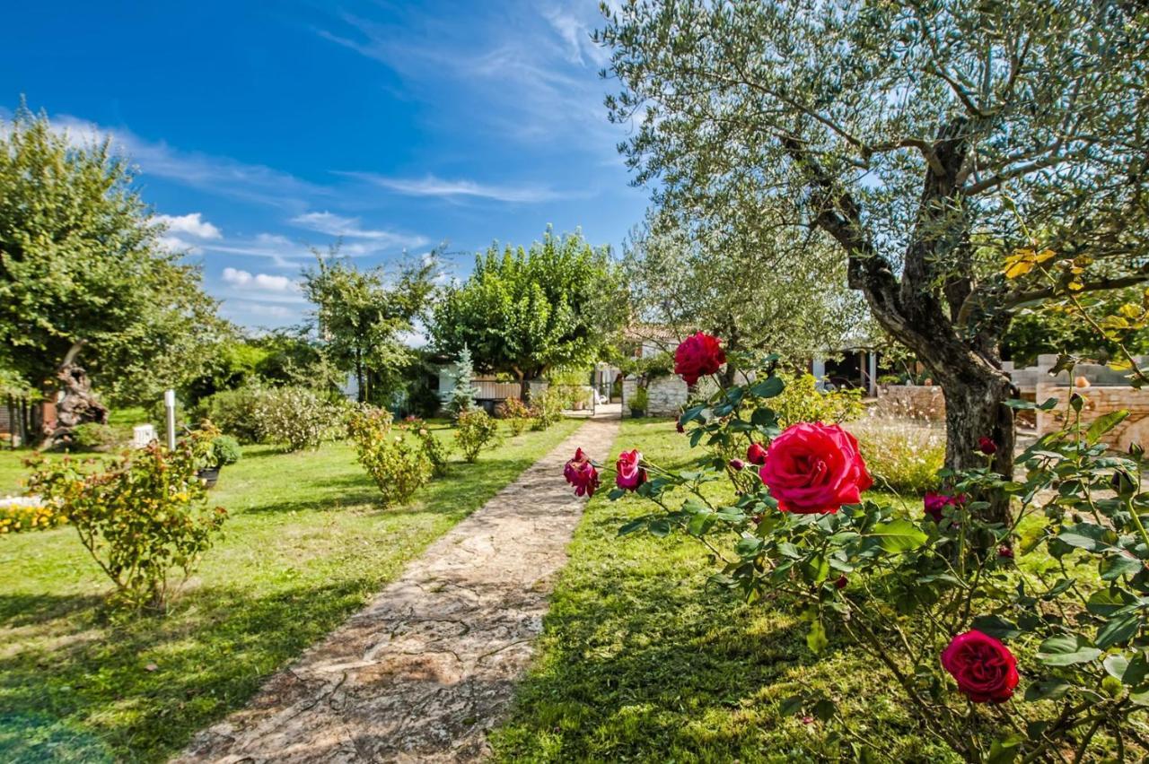 Holiday Apartment Daria 20 Rovinj Ngoại thất bức ảnh