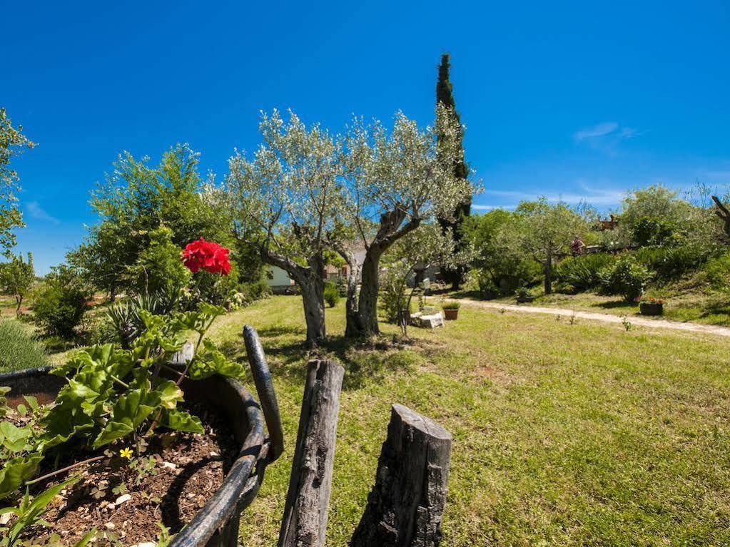 Holiday Apartment Daria 20 Rovinj Ngoại thất bức ảnh